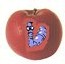 Pflaster für die Apple-Raubkatze Pflaster für die Apple-Raubkatze