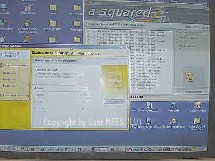 La plupart des Français sont victimes de virus informatiques La plupart des Français sont victimes de virus informatiques