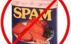 Une victime pour 12,5 millions de pourriels (spam)<br><br> Une victime pour 12,5 millions de pourriels (spam)<br><br>