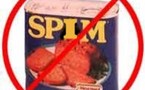 Le SPIM ?