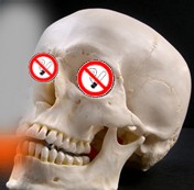 Image copyrighted (C) by Gust MEES (LU) Image copyrighted (C) by Gust MEES (LU)